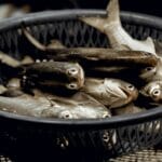 Świeże ryby w wiklinowym koszu na targu ulicznym w Keelung, Tajwan